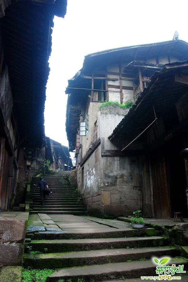 20090518_8ec17b30e636e03185edeNYGM0vbFv0o.jpg