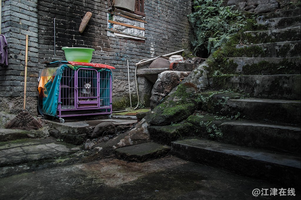“_SDI0270”为智能对象-1.jpg