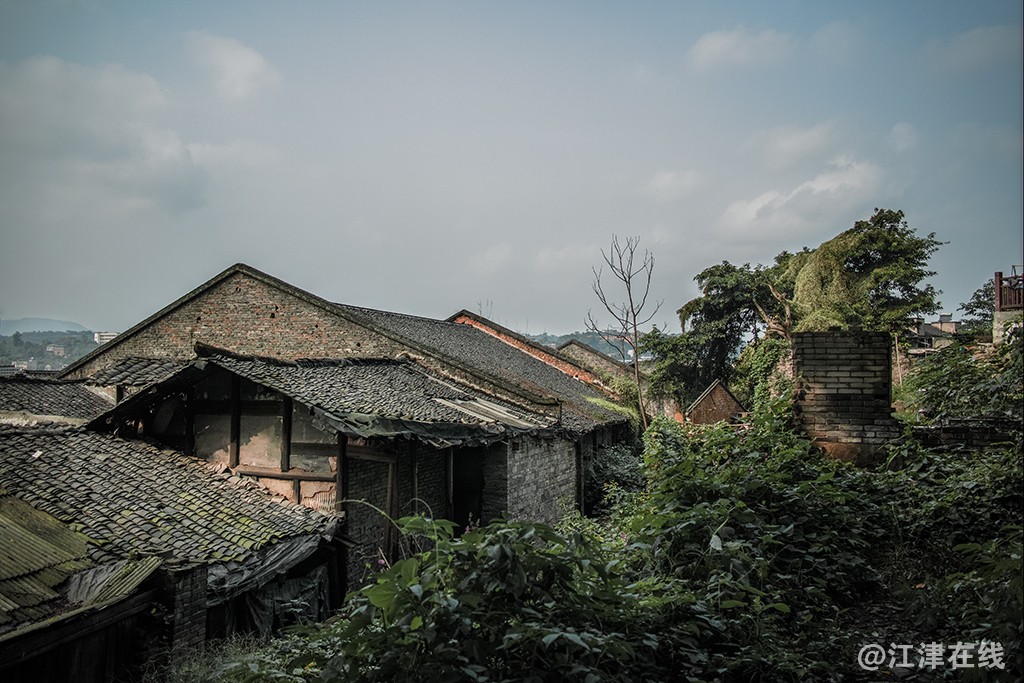“_SDI0300”为智能对象-1.jpg