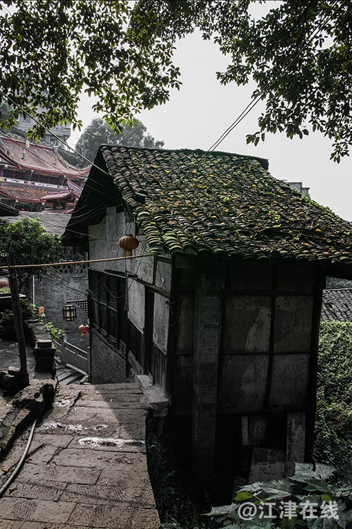 “_SDI0311”为智能对象-1.jpg
