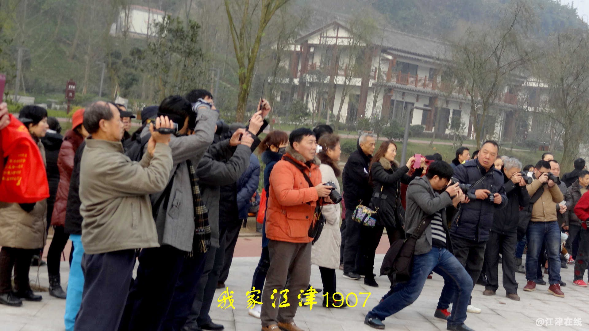 JYZ 20141223 HX10V (157)-1.jpg