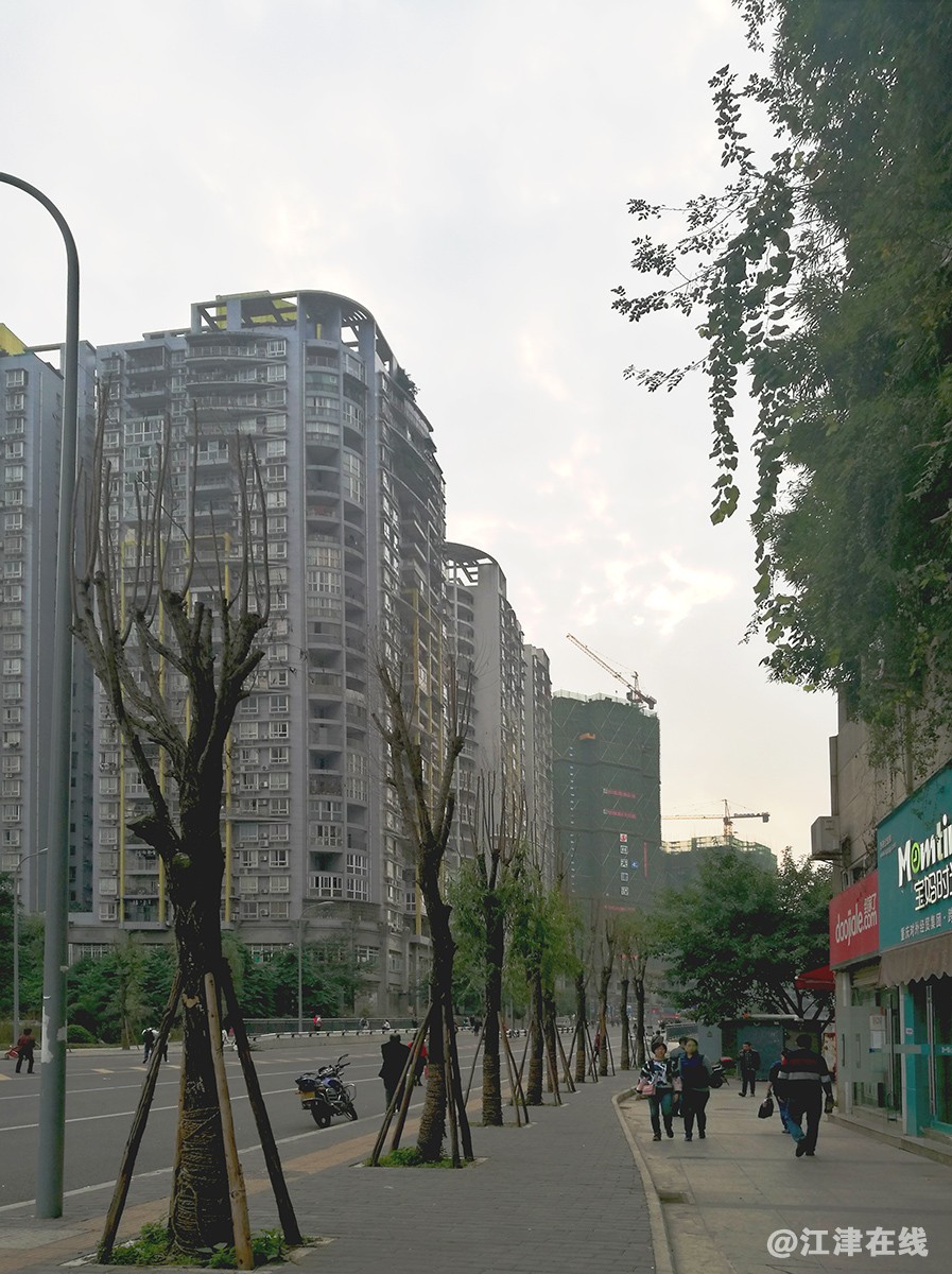 去渔洞 (2).jpg
