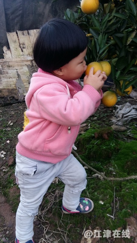 20171026_173501.jpg