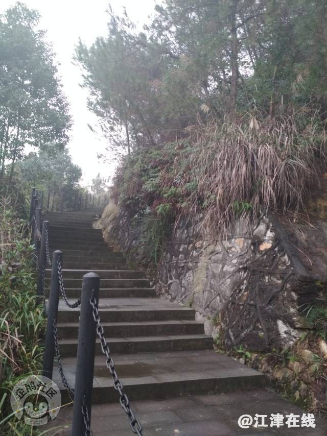 800.jpg