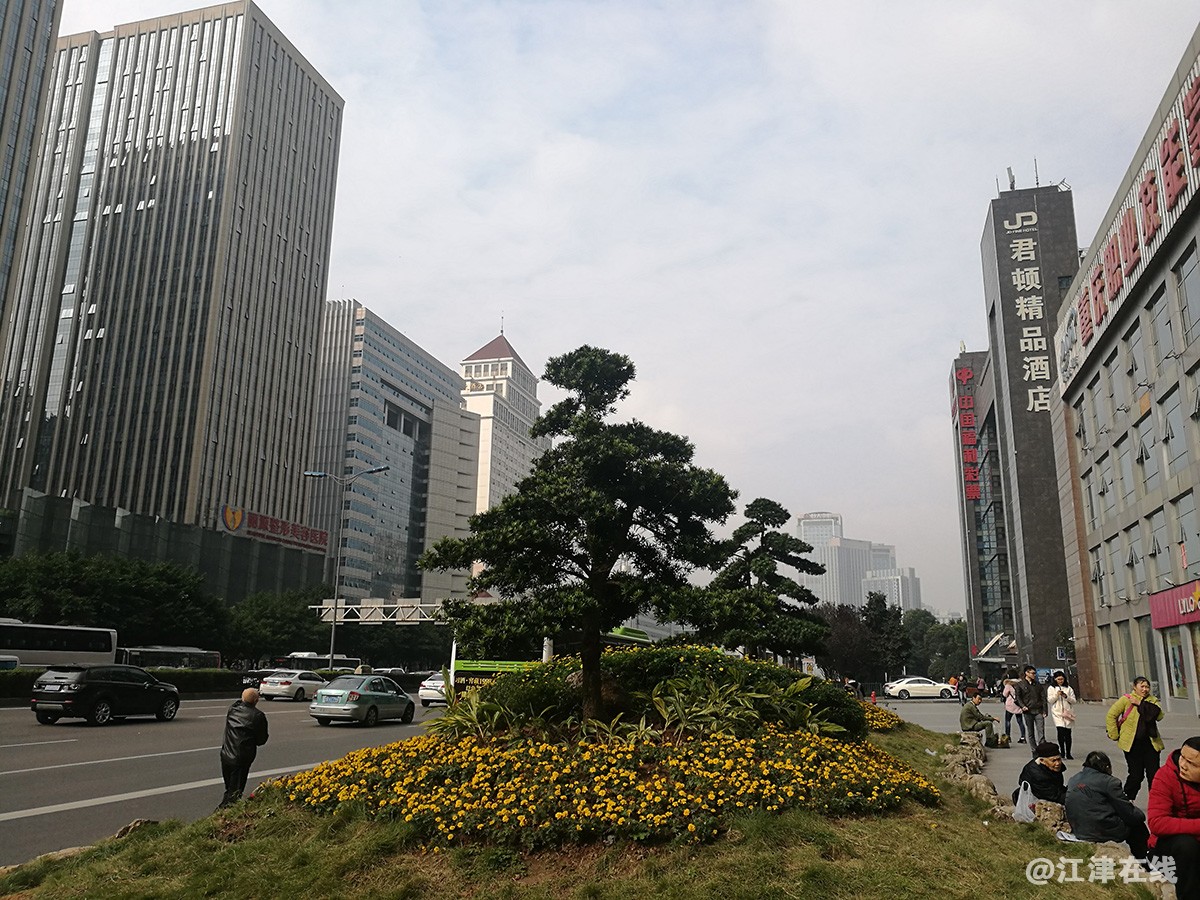 红锦大道街景花絮 (4).jpg