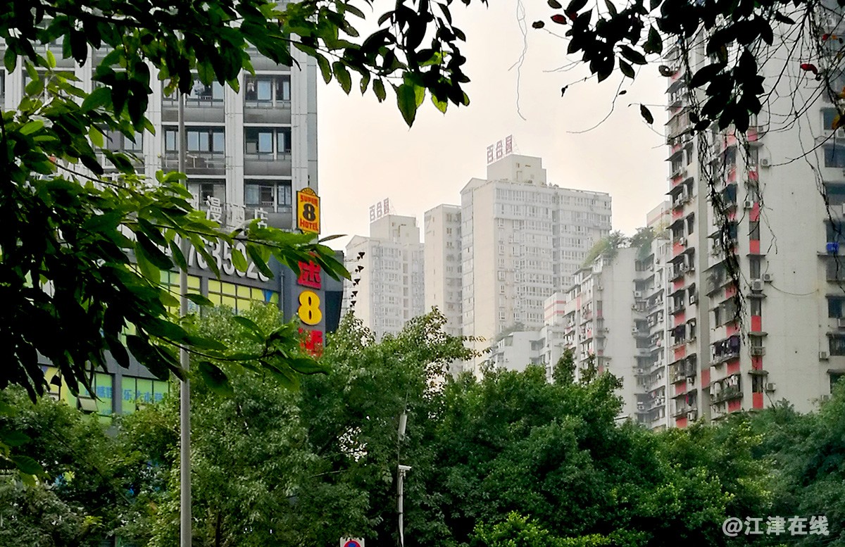 红锦大道街景花絮 (18).jpg