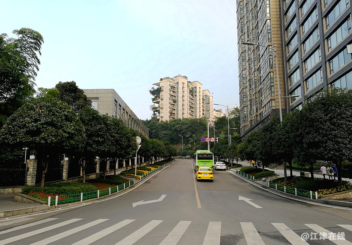 红锦大道街景花絮 (24).jpg