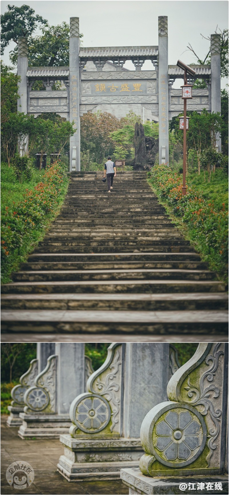 800.jpg