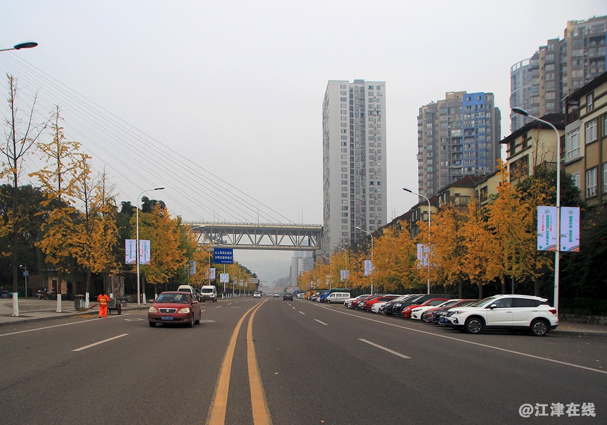 一抹金黄 (2).jpg