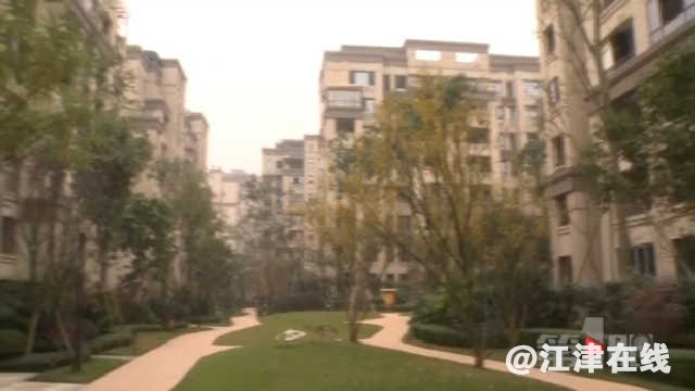 641.jpg