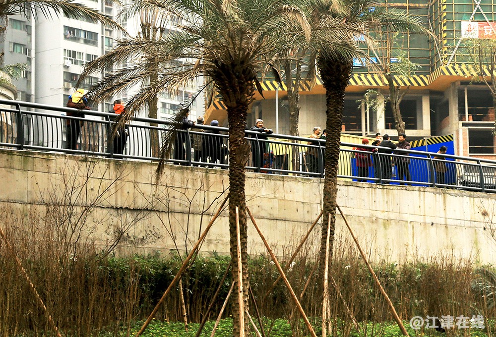 桃花溪旁扫 (3).jpg