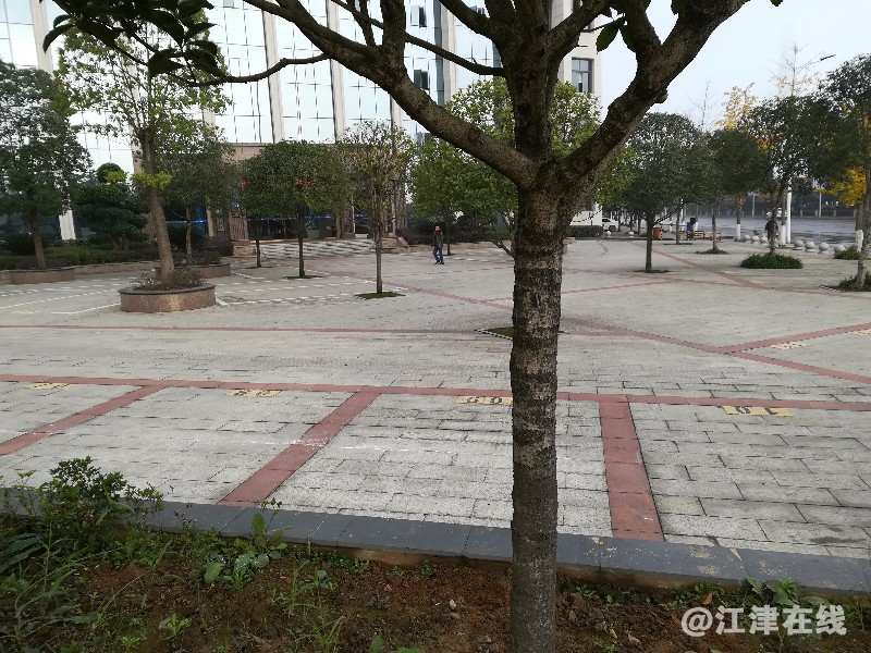 IMG_20171209_093325.jpg