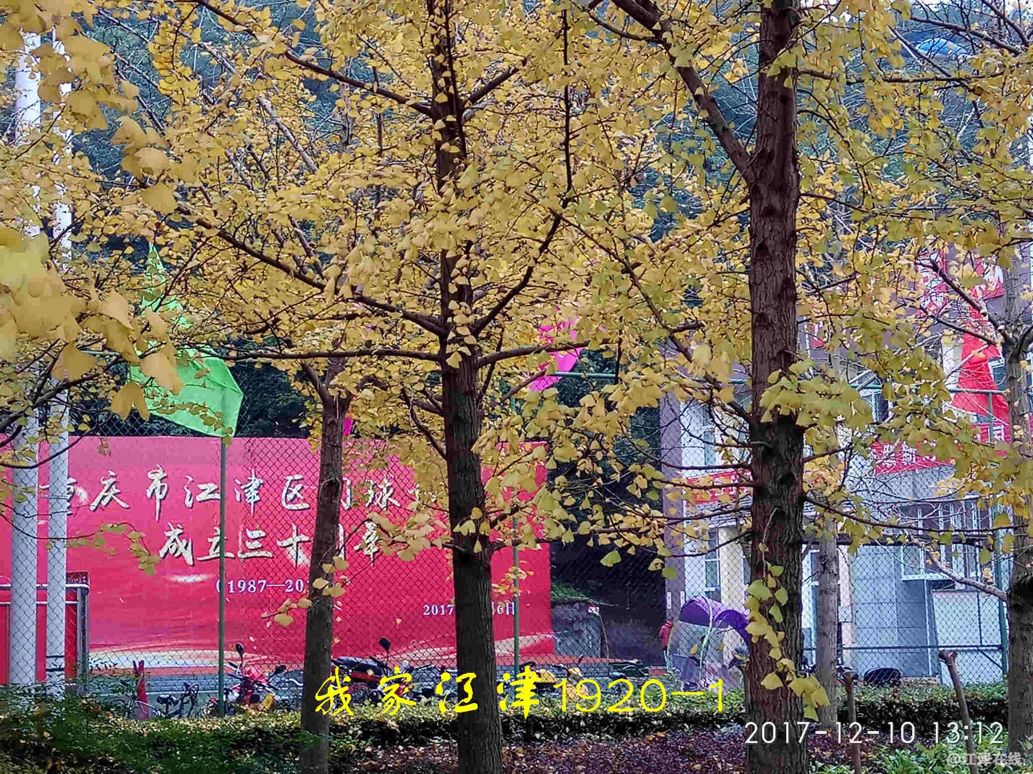 JYZ 20171210 XM (249).jpg