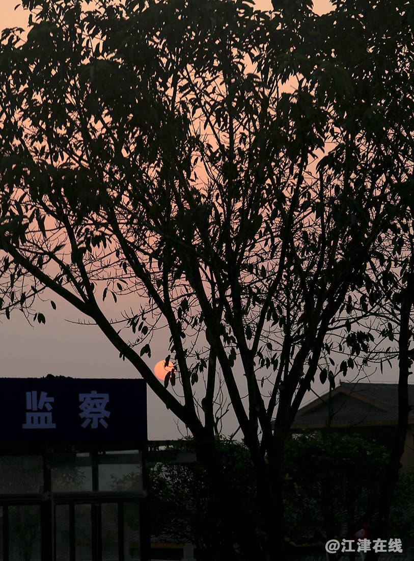 夕阳 (7).jpg