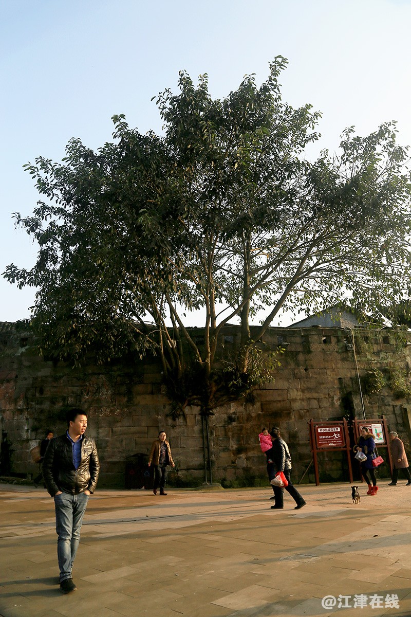 大荣寨 (7).jpg