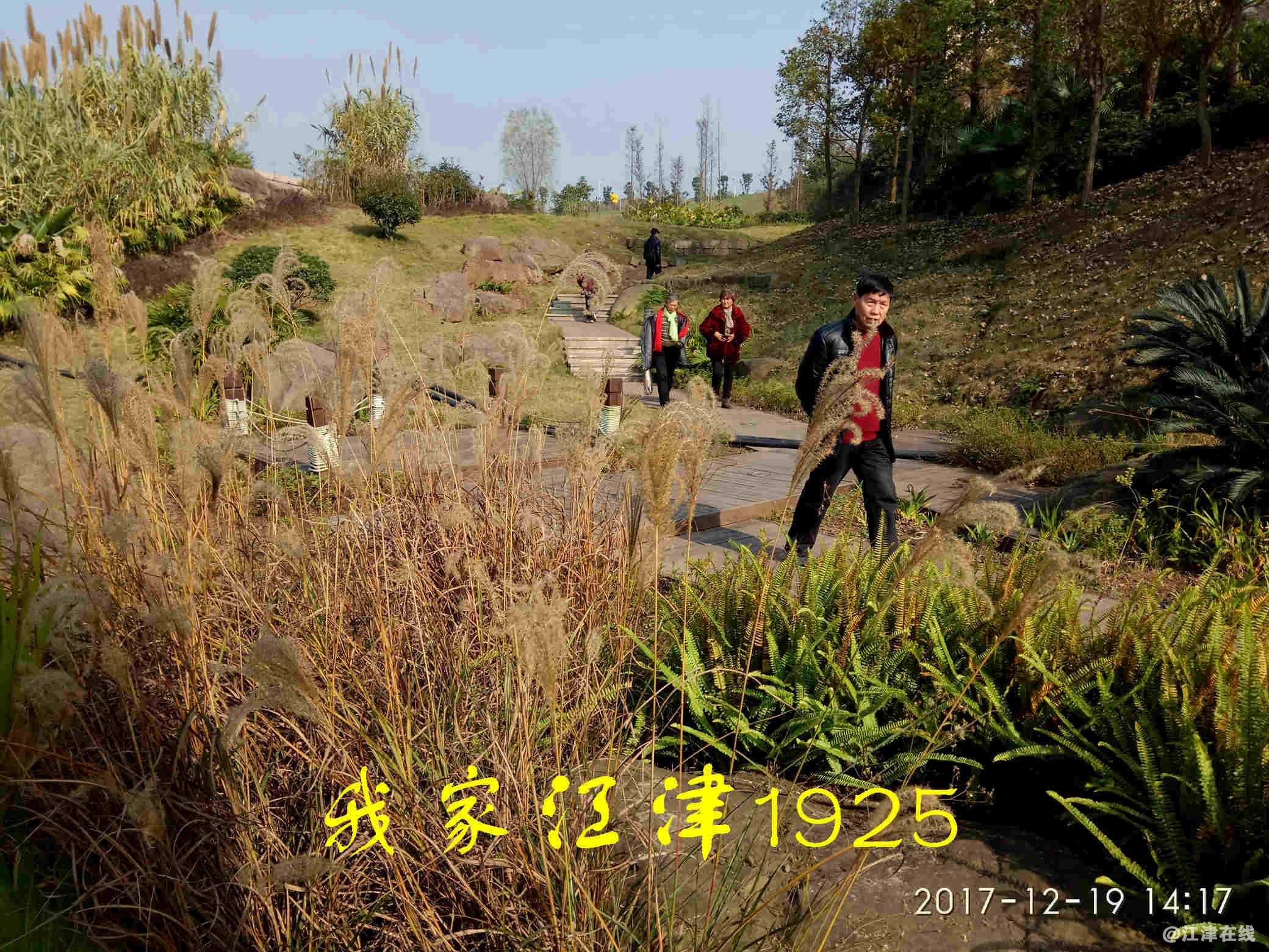 JYZ 20171219 XM (110).jpg