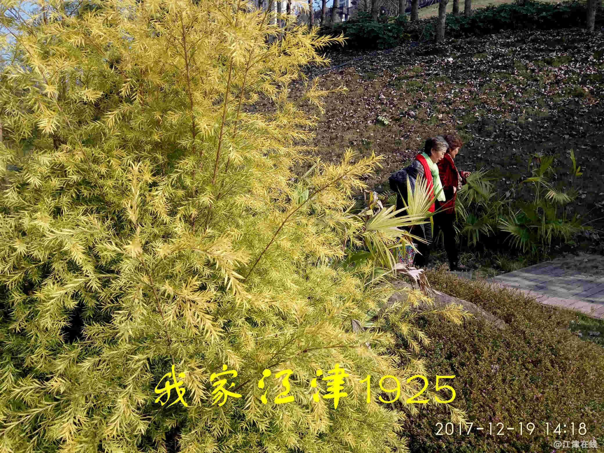 JYZ 20171219 XM (118).jpg