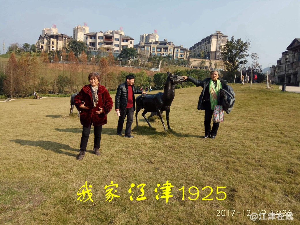 JYZ 20171219 XM (156).jpg