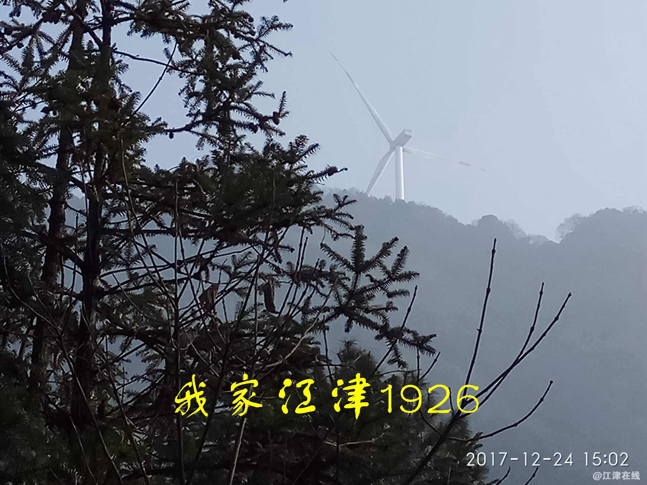 JYZ 20171224 XM (391).jpg