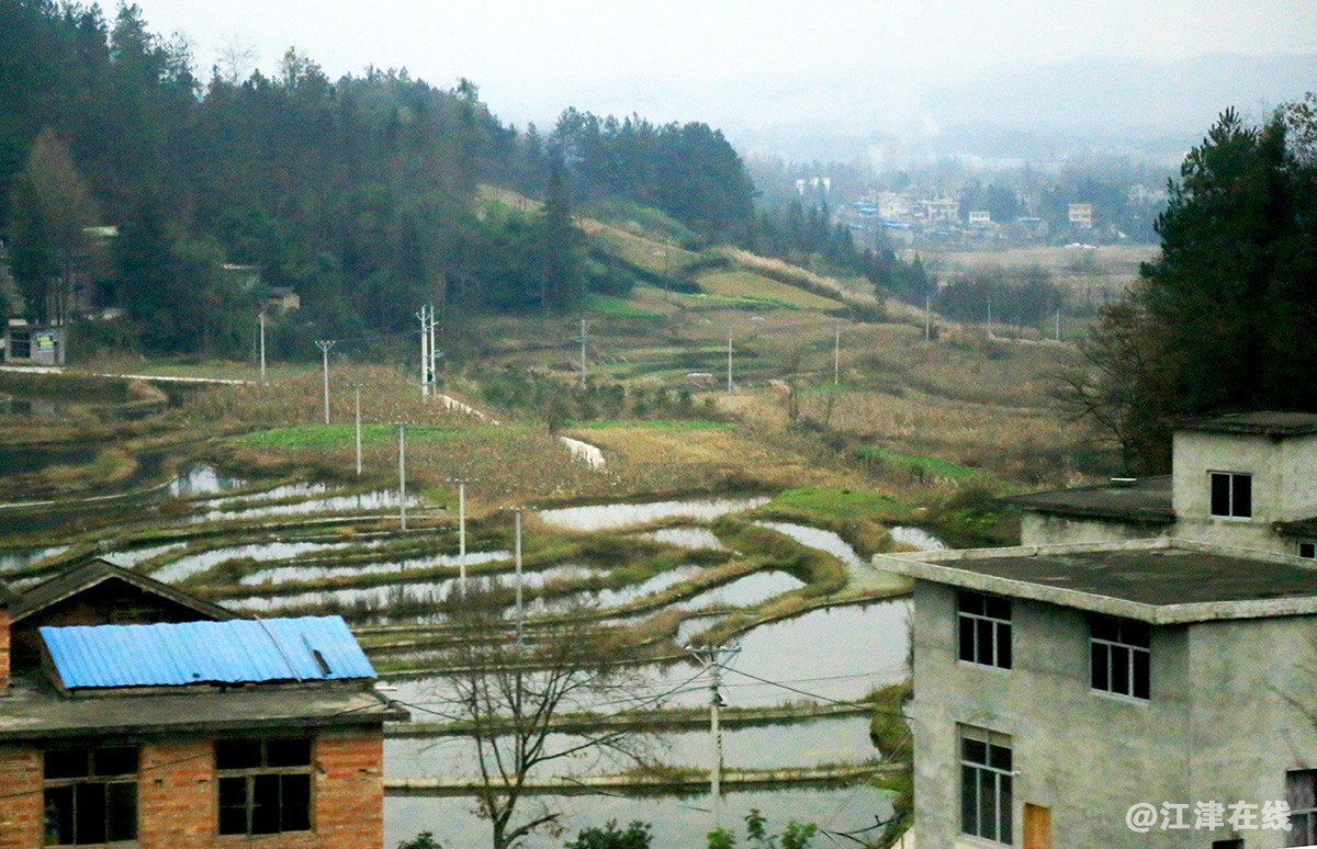渝深 (5).jpg
