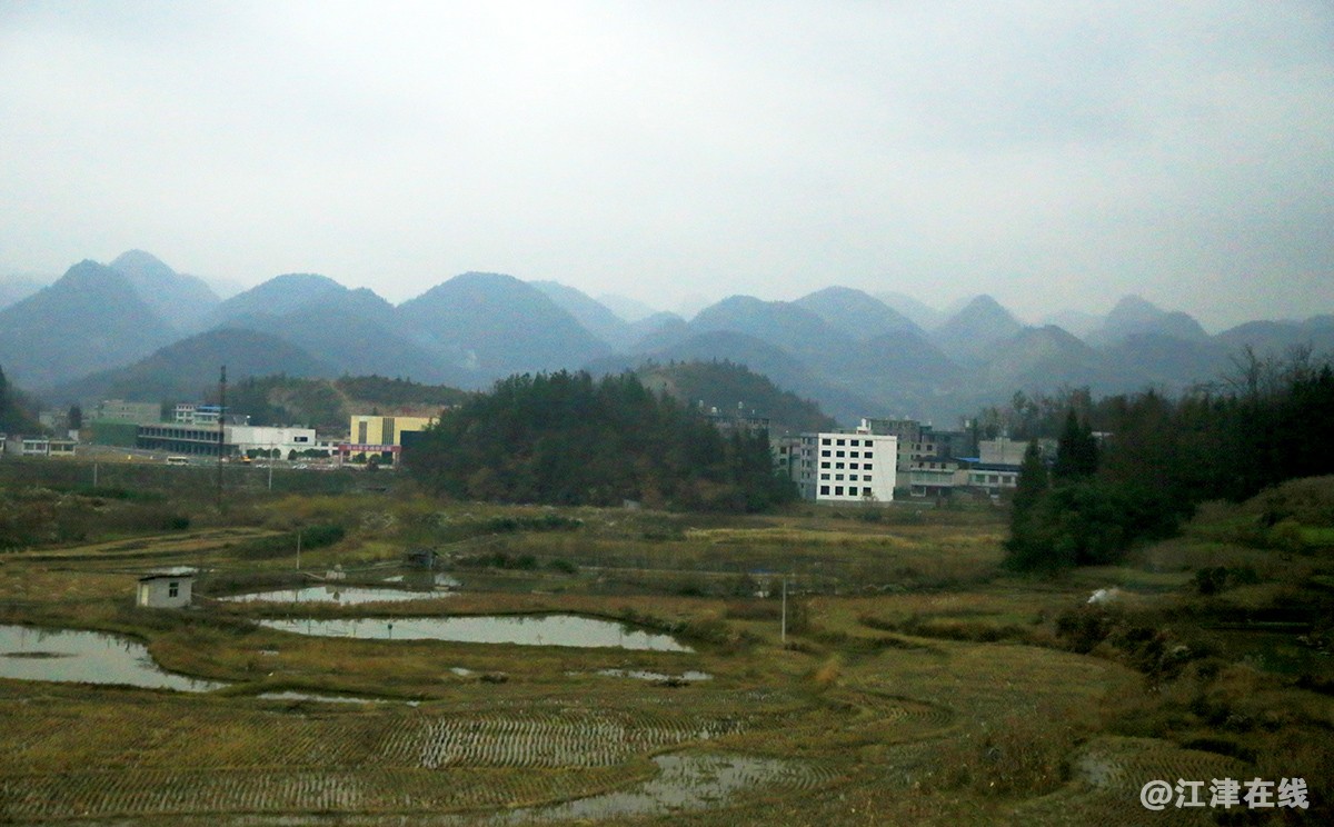 渝深 (7).jpg