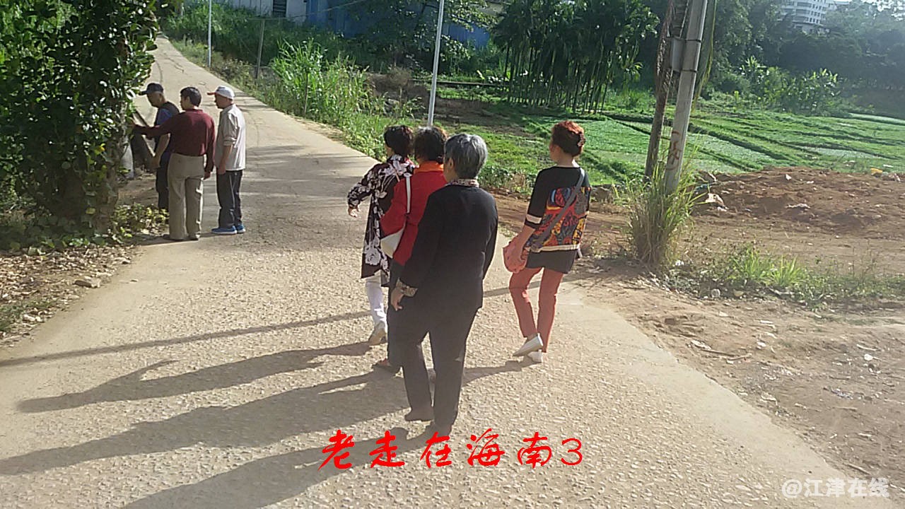 JYZ 20170116 SW-G7108V (84).jpg