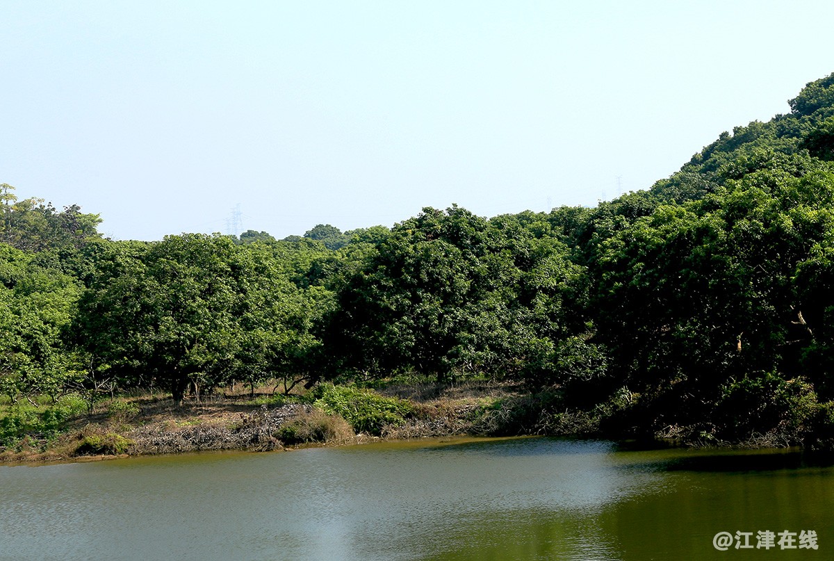 广东步道 (11).jpg