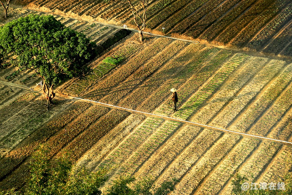 广东步道 (19).jpg