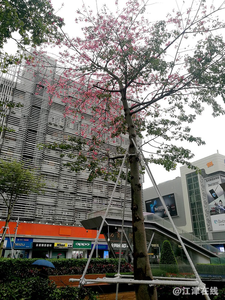 雨中华强北 (10).jpg