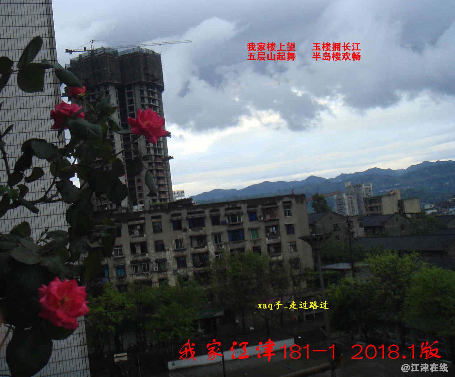 3 我家江津181 (3)-1.jpg