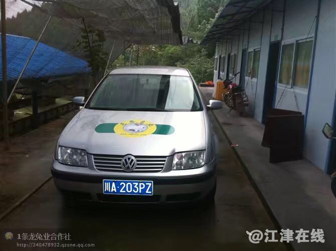 一对一训练培训基础