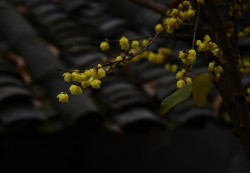8d01e8abb42da13dfc93fa4fa53f3eb2.jpg