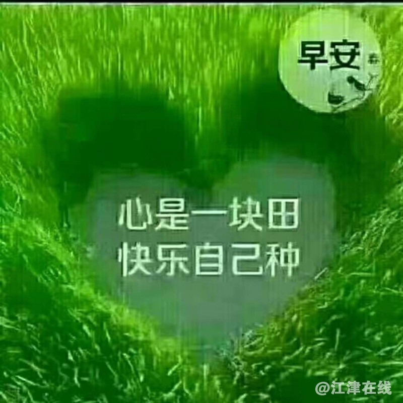 mmexport1513657635957.jpg