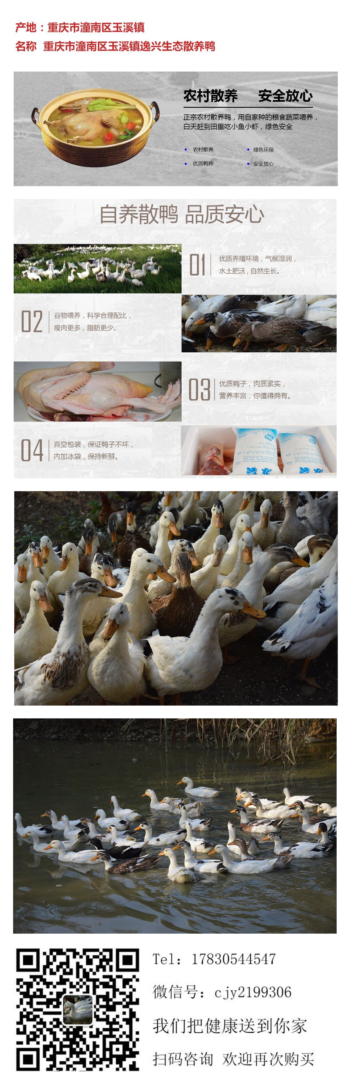 未标题-4.jpg
