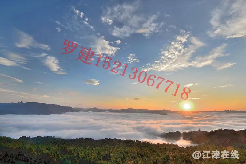 微信图片_20180126164050.jpg
