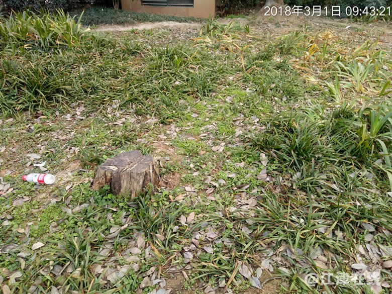 TimePhoto_20180301_094321_副本.jpg