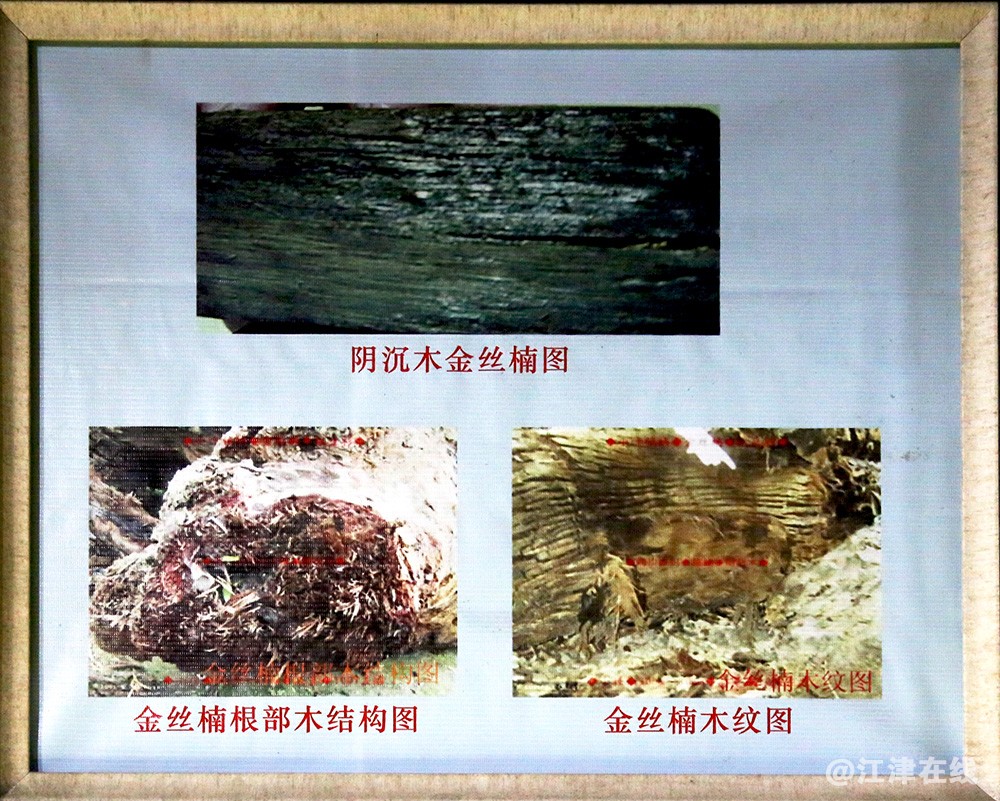 博物馆 (7).jpg