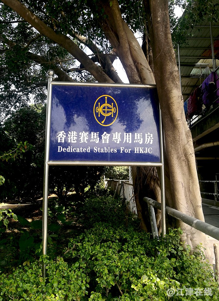 光明农场 (16).jpg