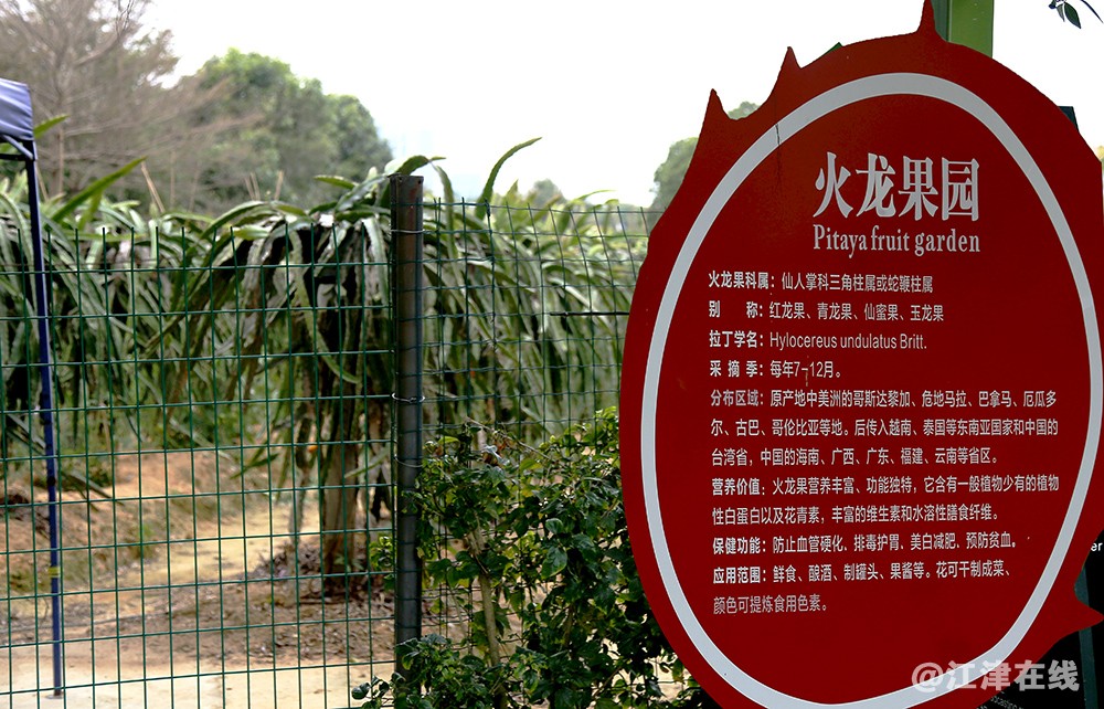 光明农场 (27).jpg