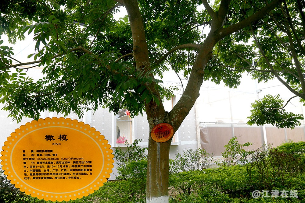 光明农场 (29).jpg