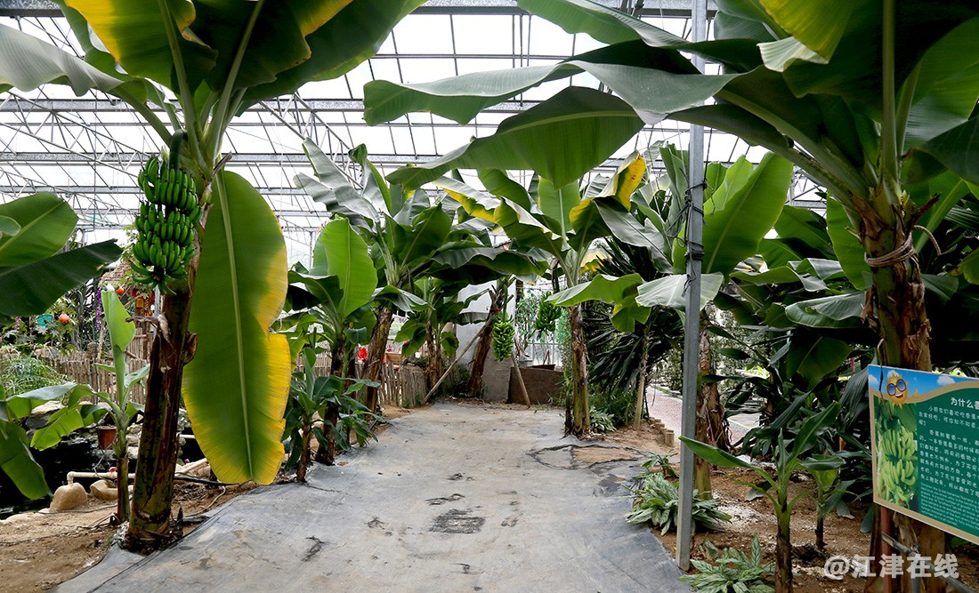 光明农场 (41).jpg