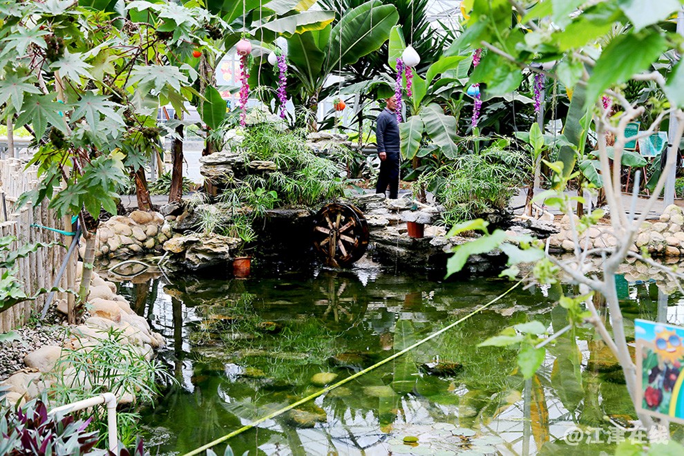 光明农场 (44).jpg