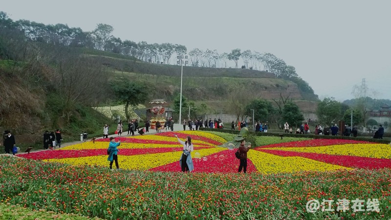 c0d7a83986.jpg