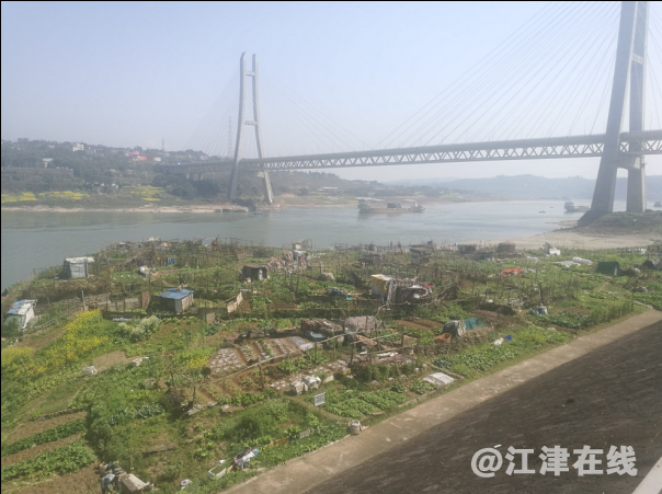 QQ图片20020130031146 2.png