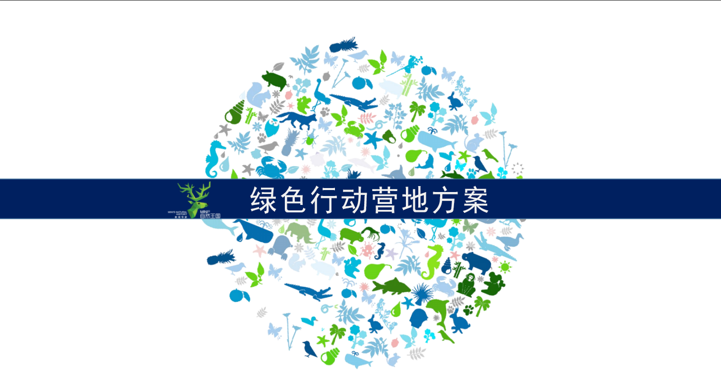 图片11.png