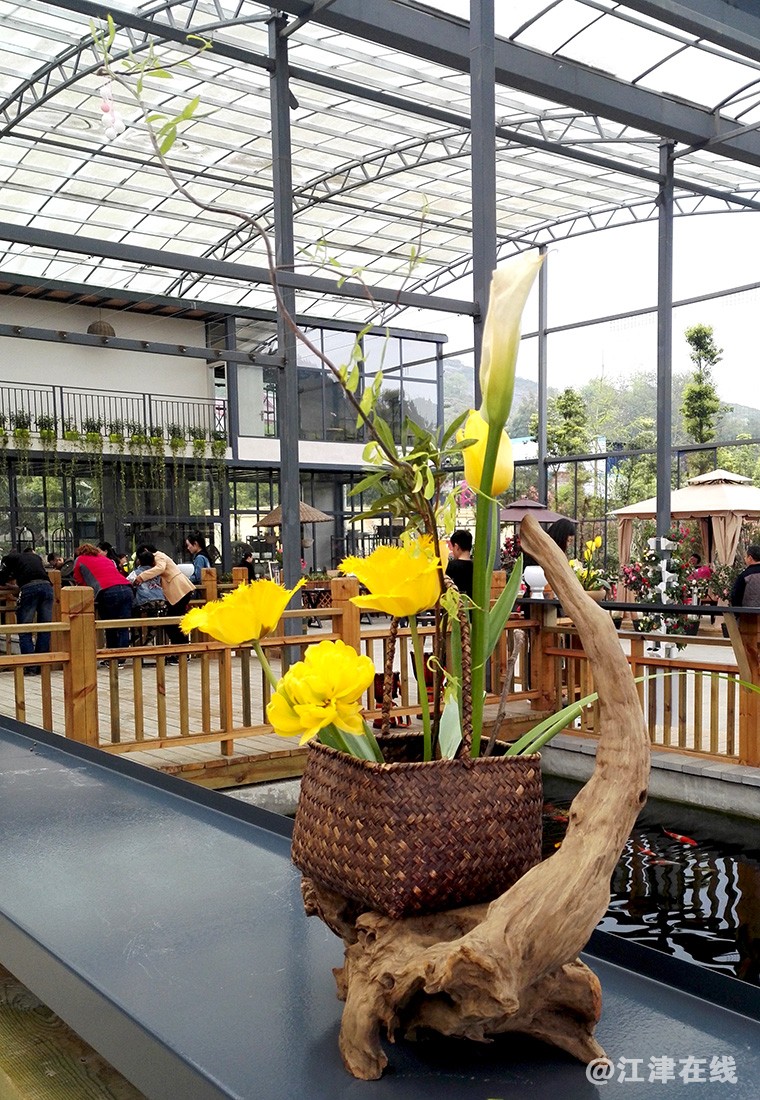 小容器养花 (8).jpg
