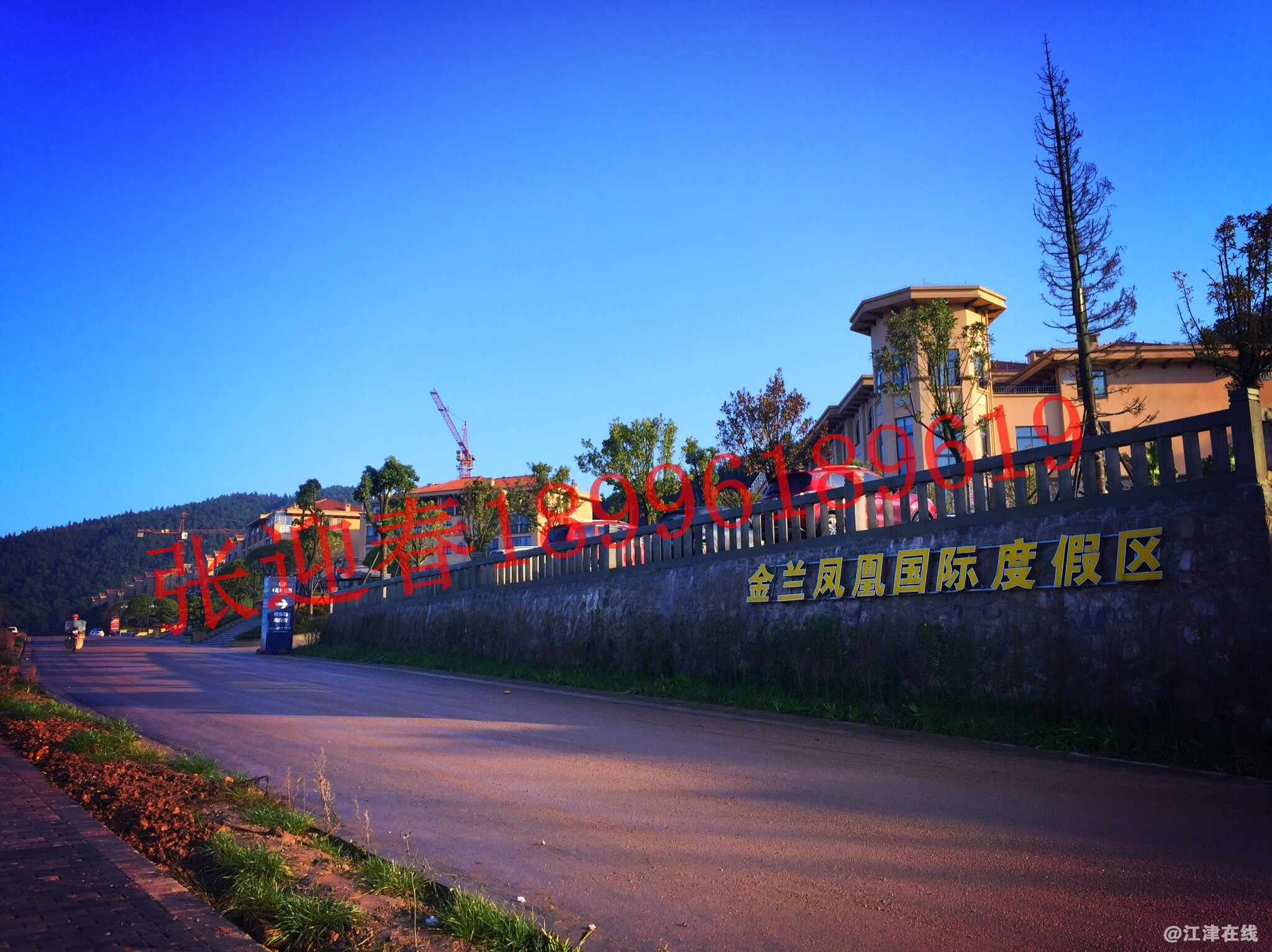 金兰标志.jpg