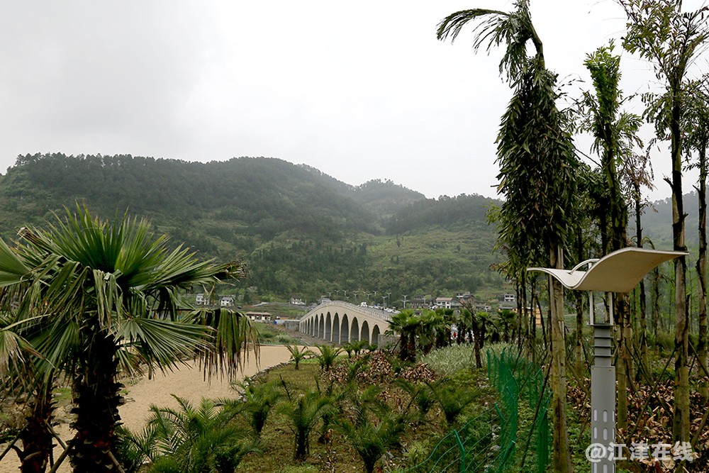 湖与沙滩 (20).jpg