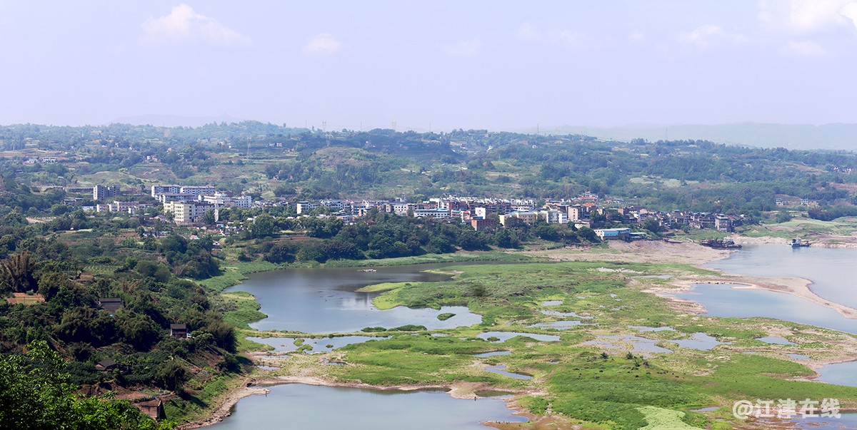 去龙华路上观 (13).jpg