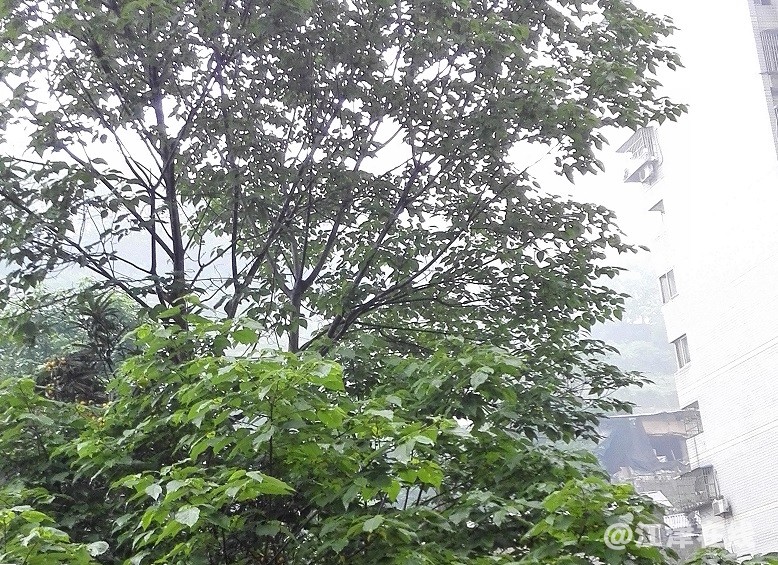 IMG_20180424_173458.jpg